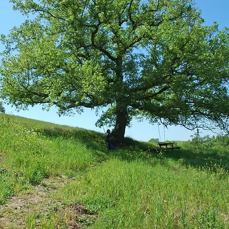 ファームステイ Podere Santa Maria *